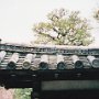 Kyoto, Japan